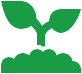 Icone planta 2
